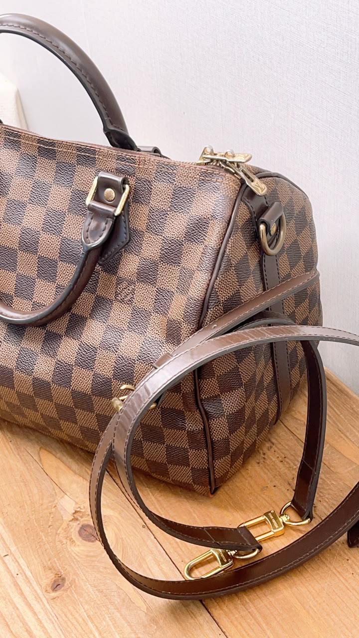 LV Damier Ebene Speedy 30B
