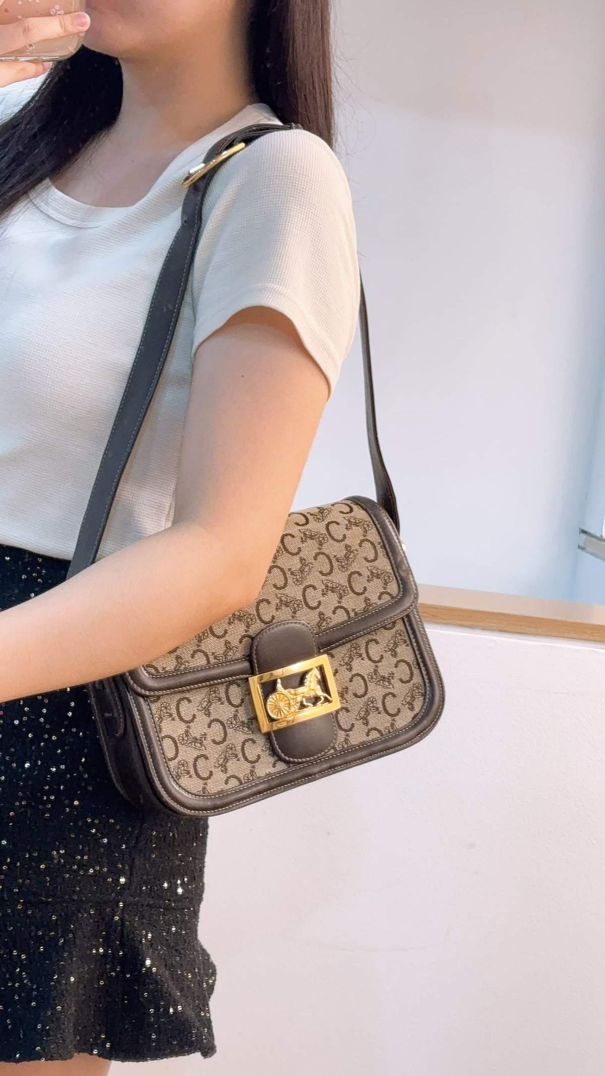 Celine Brown Macadam Canvas Vintage Horse Carriage Bag (GHW)