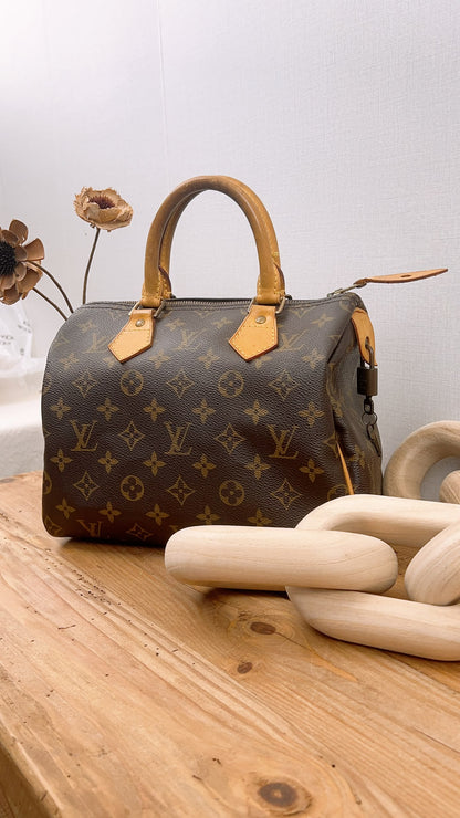LV Monogram Speedy 25