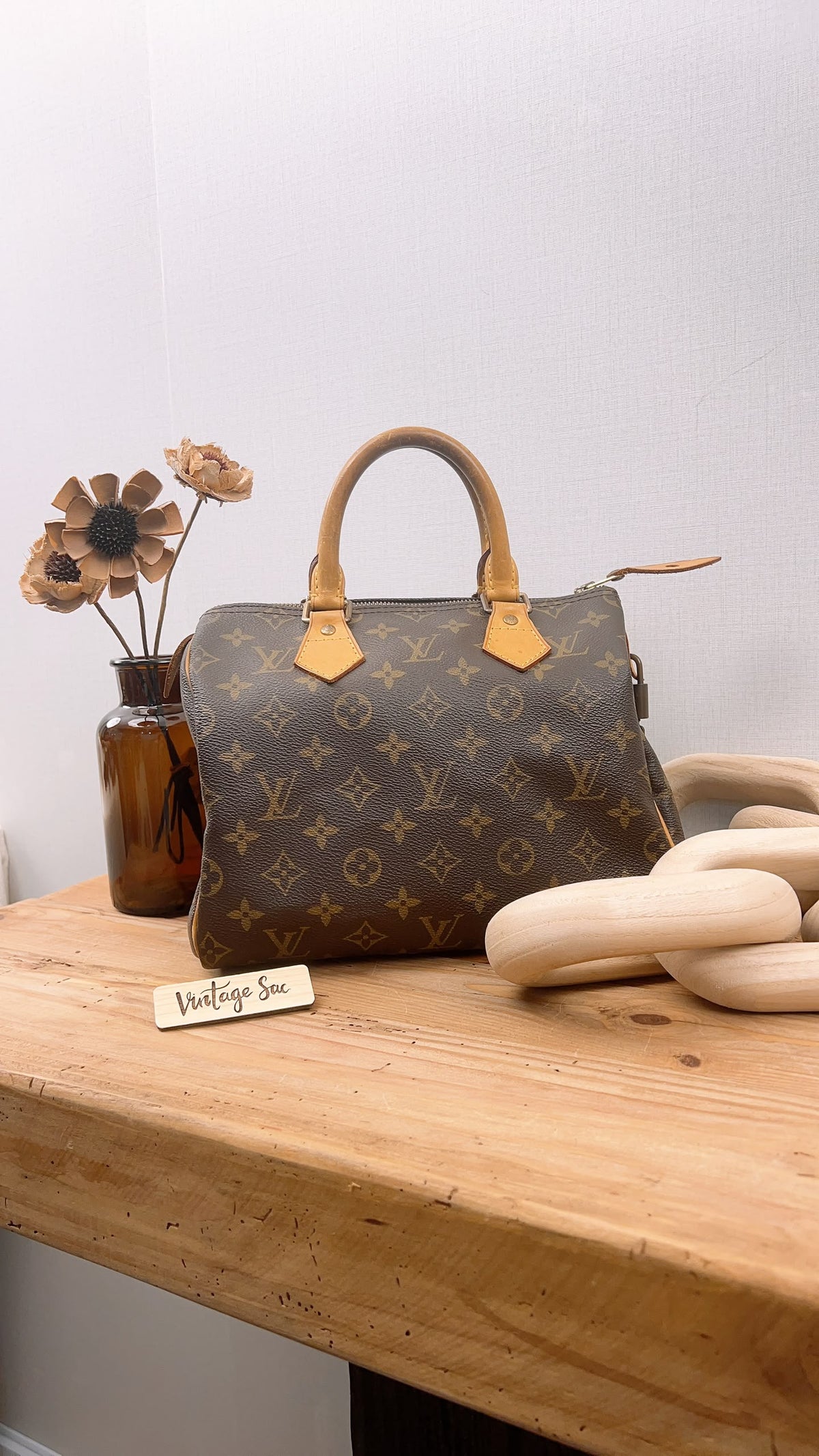 LV Monogram Speedy 25