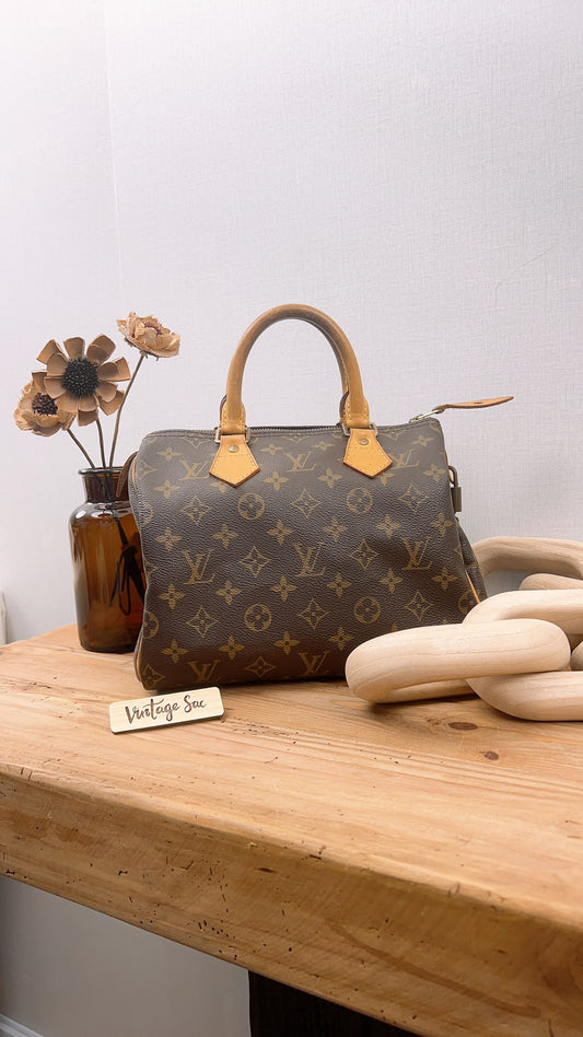 LV Monogram Speedy 25