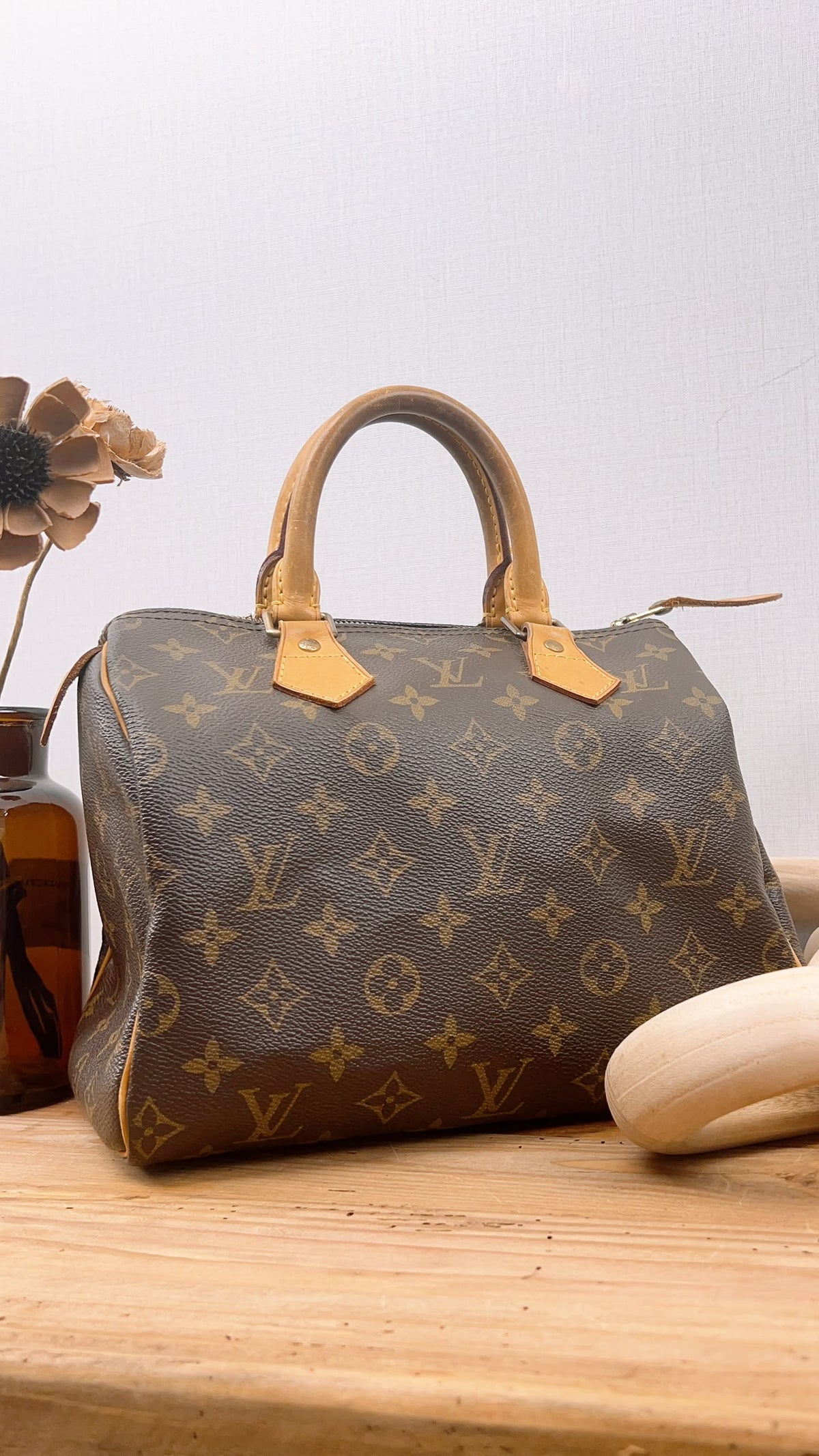 LV Monogram Speedy 25