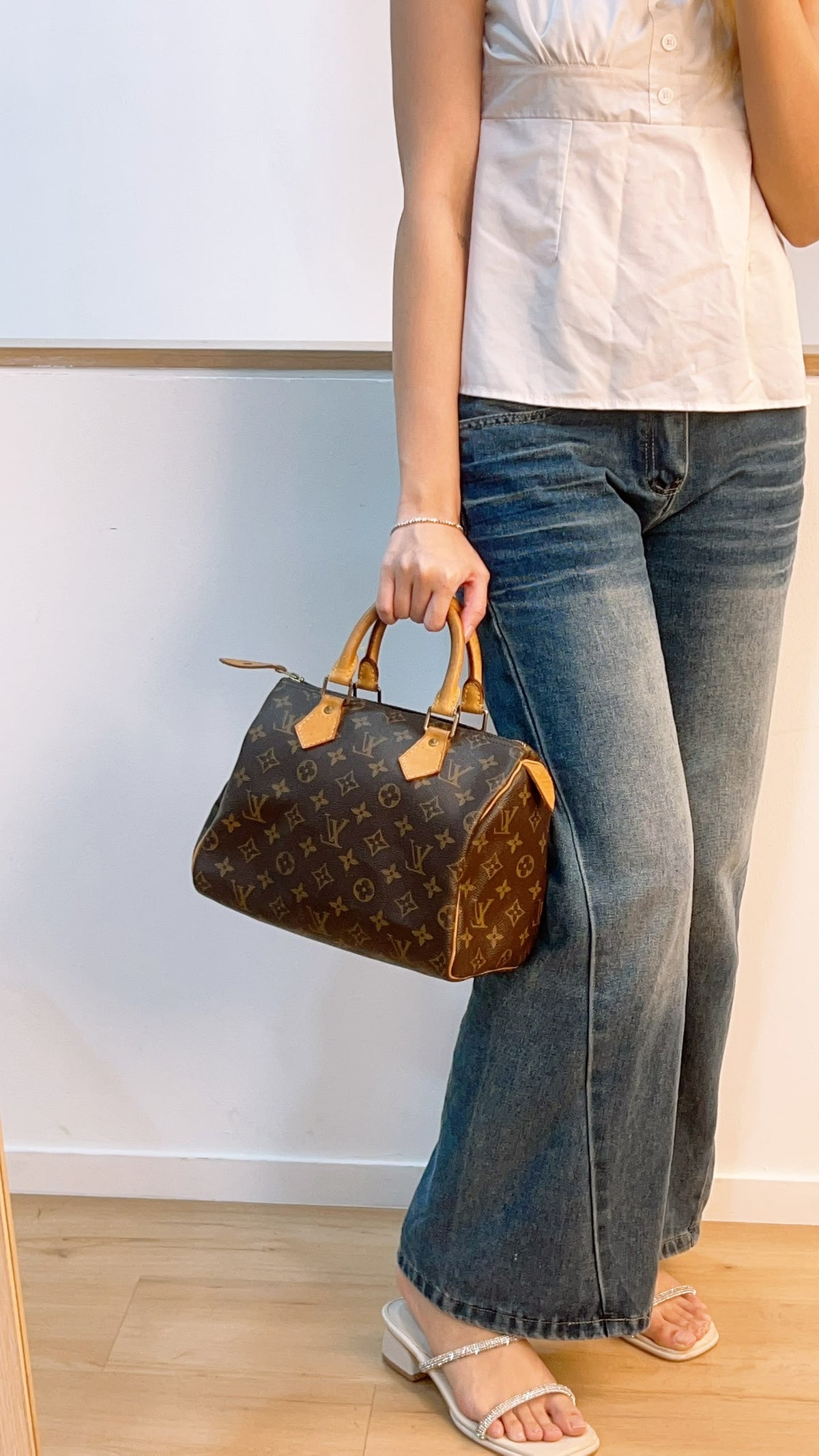 LV Monogram Speedy 25