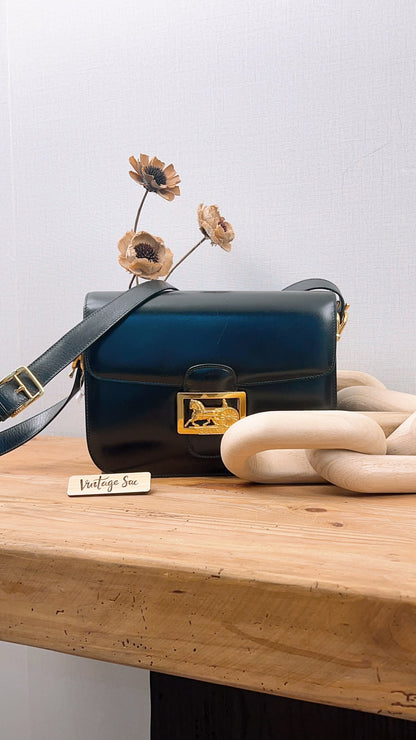Celine Black Smooth Calfskin Vintage Carriage Shoulder Bag (GHW)