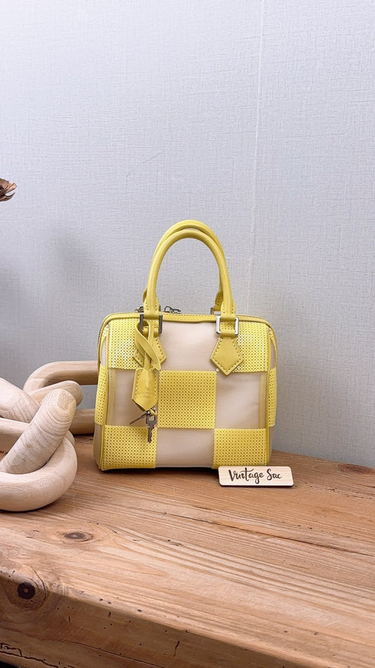 LV Damier Optic Mesh Speedy Cube