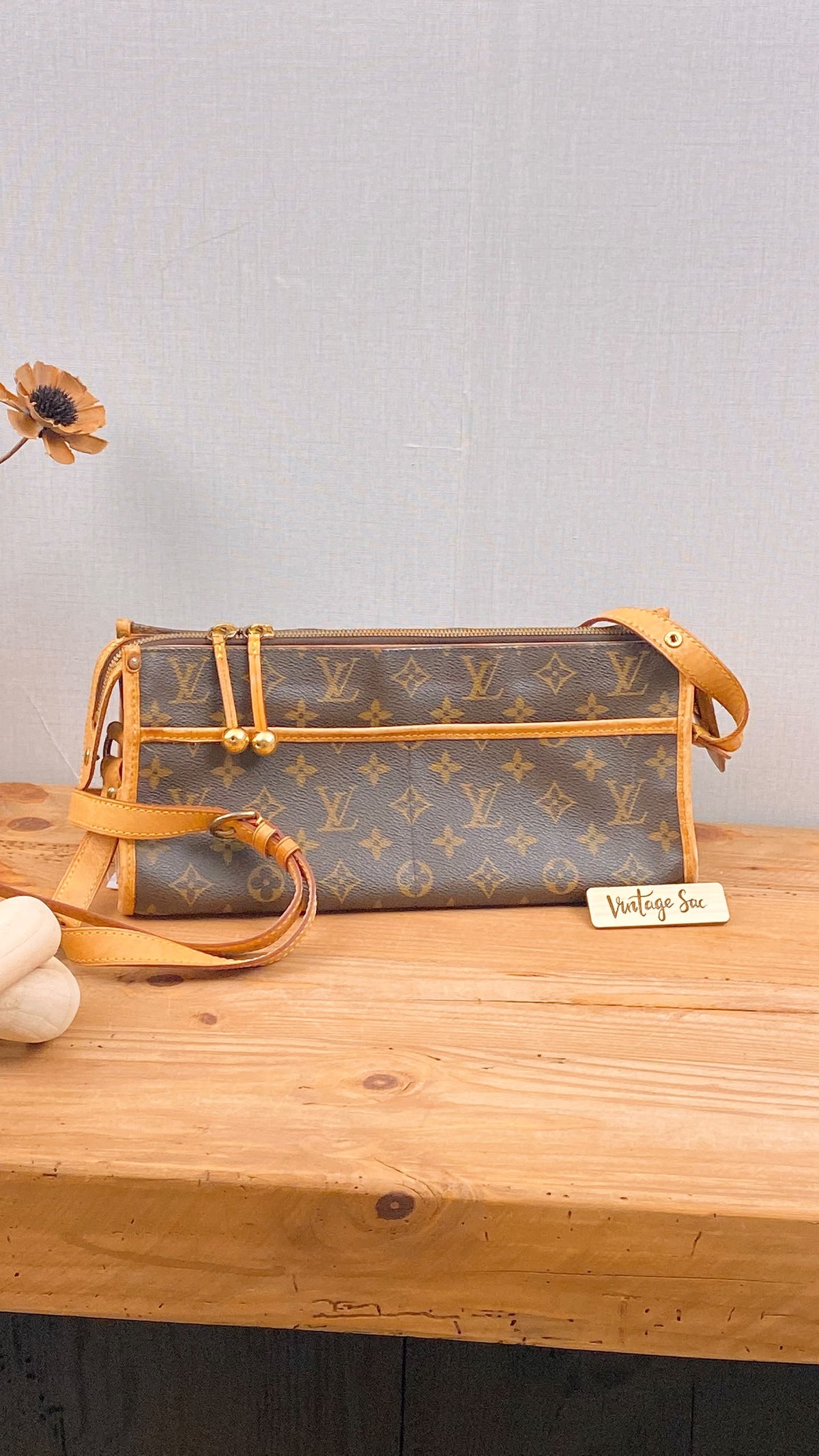 LV Monogram Popincourt Long Bag