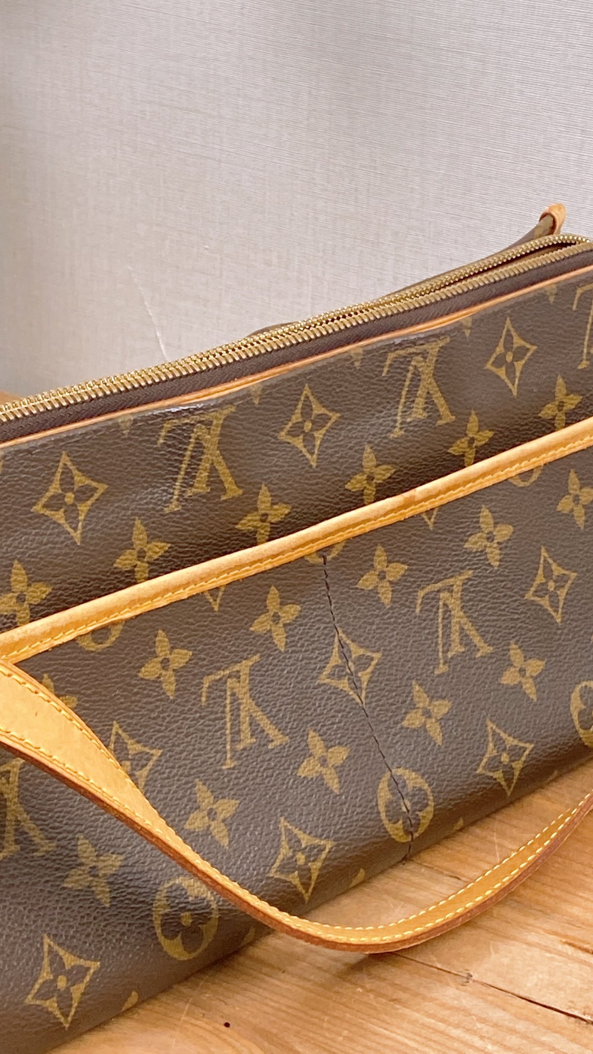 LV Monogram Popincourt Long Bag