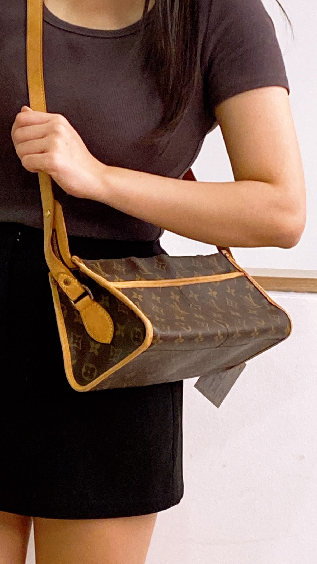 LV Monogram Popincourt Long Bag