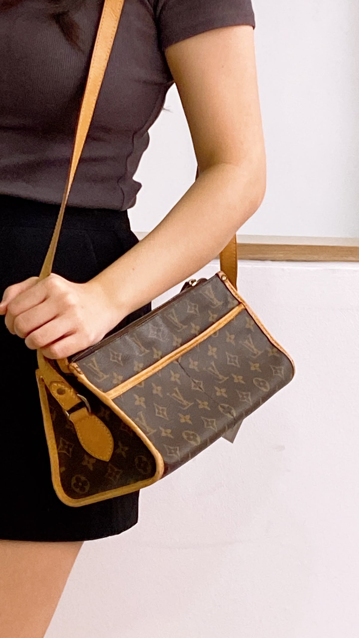 LV Monogram Popincourt Long Bag