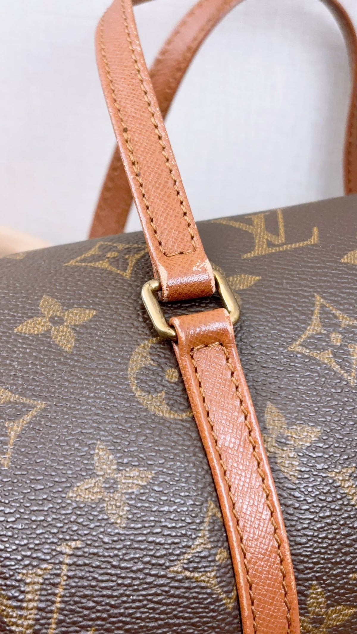 LV Monogram Papillon 26