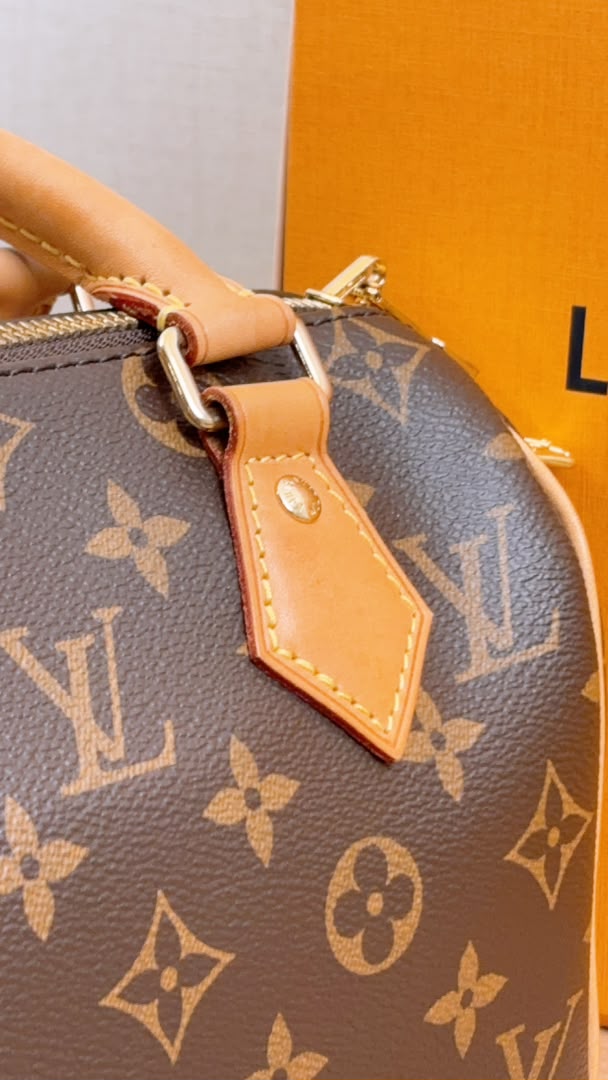 LV Monogram Speedy 20 Fuchsia